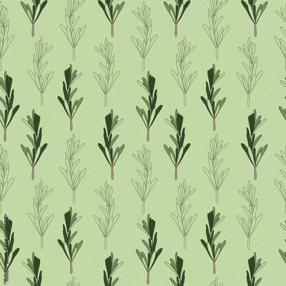 Seamless pattern of green rosemary leaves. Medicinal plant. A fragrant plant for seasoning. Rosemary herb for a design element.