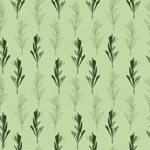 Seamless pattern of green rosemary leaves. Medicinal plant. A fragrant plant for seasoning. Rosemary herb for a design element.