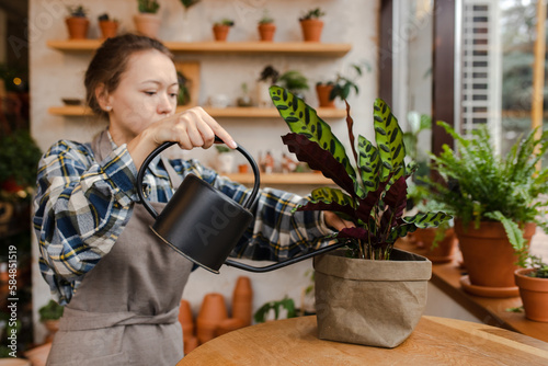 Woman Florist Watering A Potted Plant