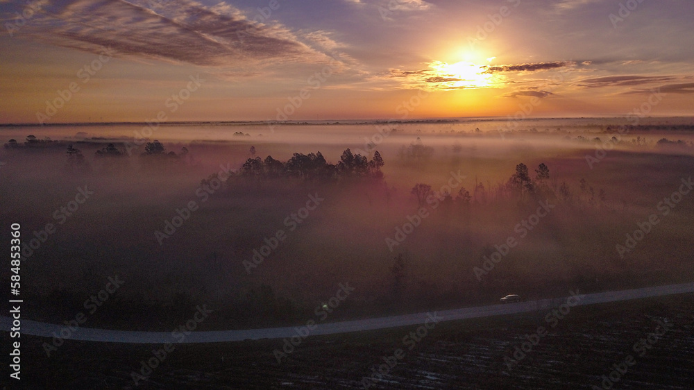 Fototapeta premium Skyview foggy sunrises over a forest