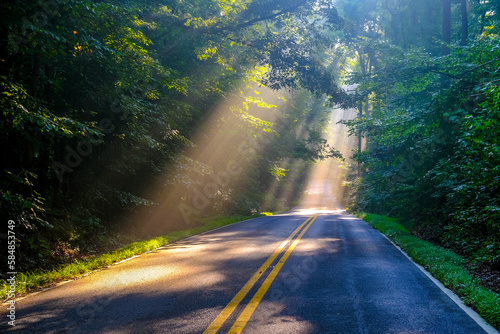 Sunrays casting on a country road