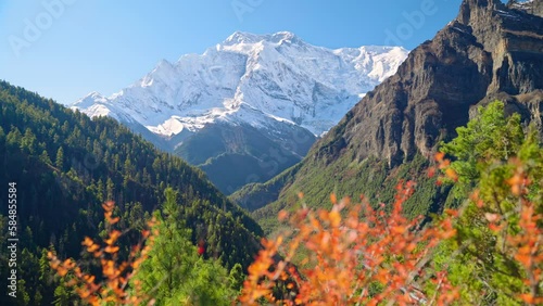 Epic panoramic view of Annapurna Himalayan mountain range with vibrant foliage steep cliffs and snowy peaks, Nepal