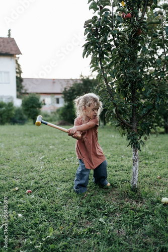 Girl harvests apples with a hammer