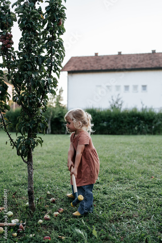 Girl harvests apples with a hammer