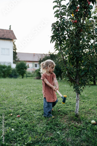 Girl harvests apples with a hammer