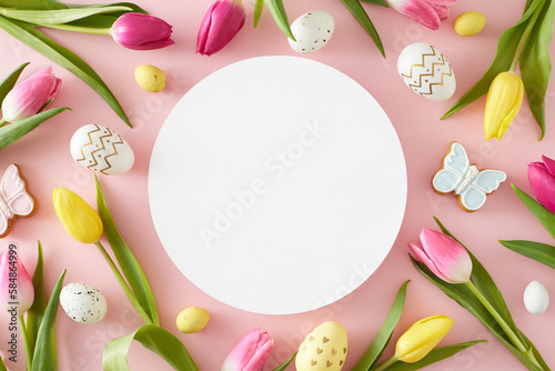 Easter concept. Top view composition of white circle colorful easter eggs butterfly cookies and tulips flowers on isolated pastel pink background with blank space