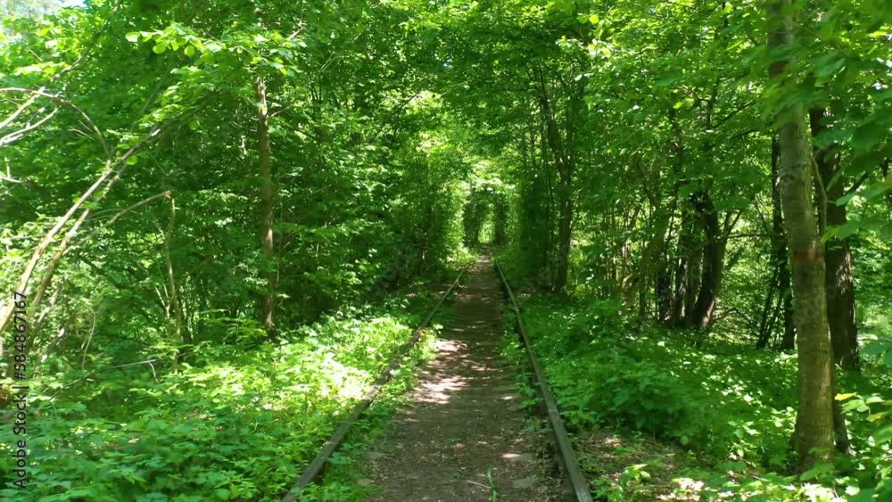 2022 - aerial perspective of the Tunnel Of Love rail line through green vegetation in central Ukraine. 2022 - aerial perspective of the Tunnel Of Love rail line through green vegetation in central Ukraine.