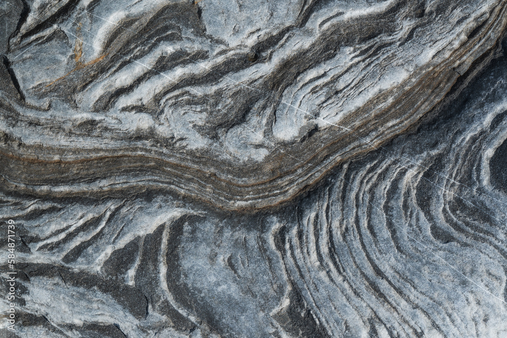 Grey Organic Lines Abstract Stone Texture Grey Organic Lines Abstract Stone Texture