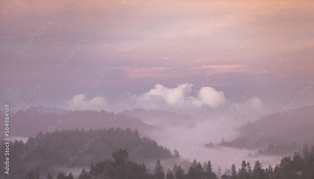 Pink skies and fog Pink skies and fog