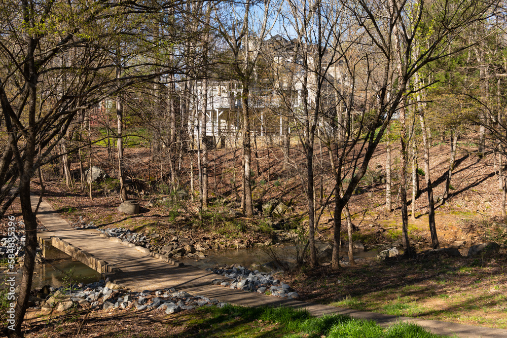 Hidden Mansion Tucked into the Woods
