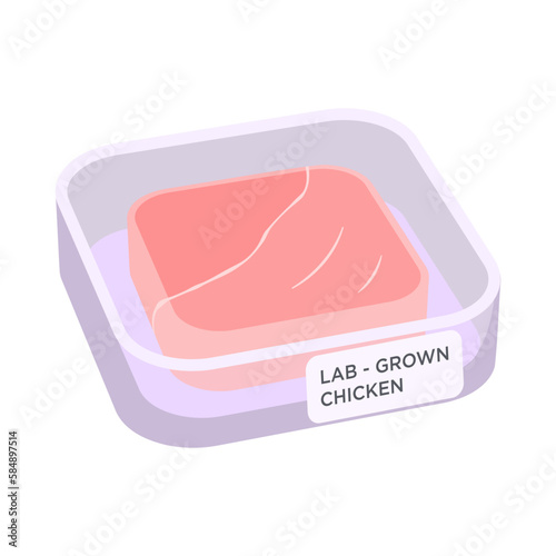 Lab-grown chicken in a Petri dish vector drawing. Cell-cultured chicken fillet from laboratory in glass box isolated on white.