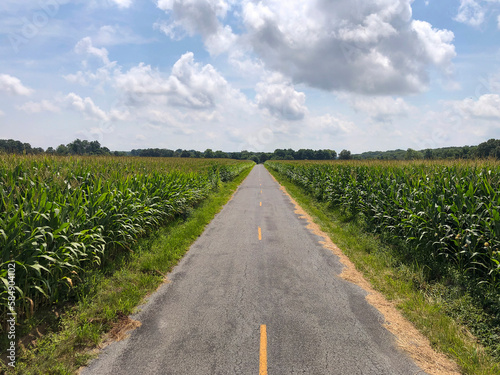 Aerial of Rural road through Corn Field summer agriculture landscape 