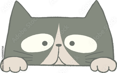 のぞくかわいいねこのイラスト