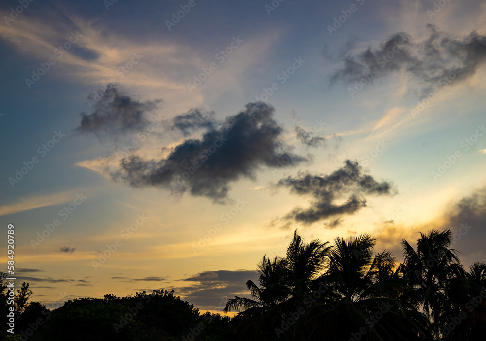 Silhouette of a huge tree during the golden hour of sunset. Some clouds lost in the sky.