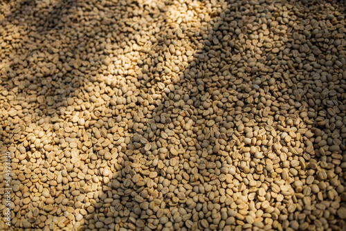 Coffee Parchment