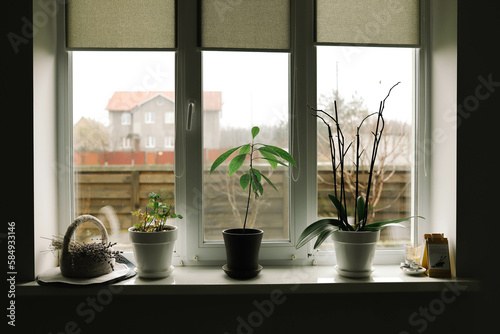 window in the kitchen photo