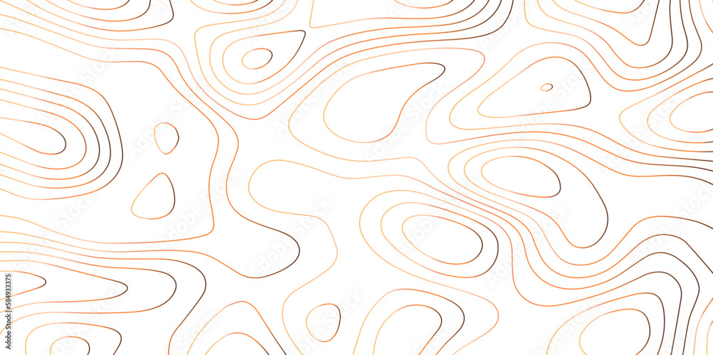 Fototapeta premium Panorama view gradient multicolor wave curve lines banner background design. Vector illustration. Line topography map contour background .Abstract Topographic map background with wave line.