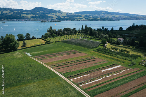Vegetable field in Switzerland