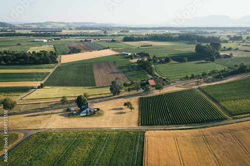 Switzerland's agriculture fields