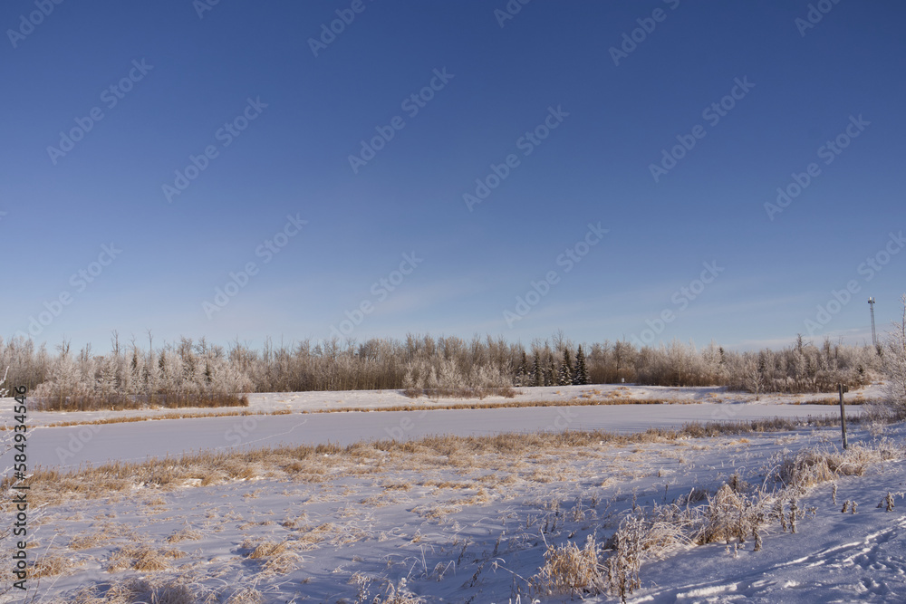 Pylypow Wetlands in the Winter Pylypow Wetlands in the Winter
