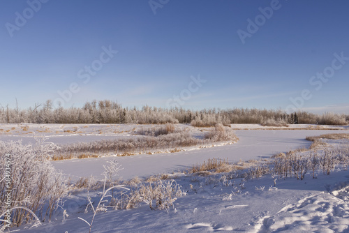 Pylypow Wetlands in the Winter