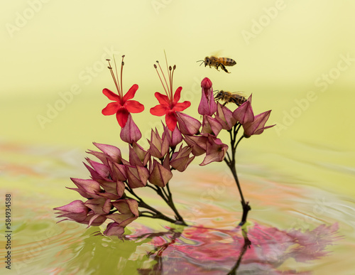 Bee flying to bud over psychedelic water photo