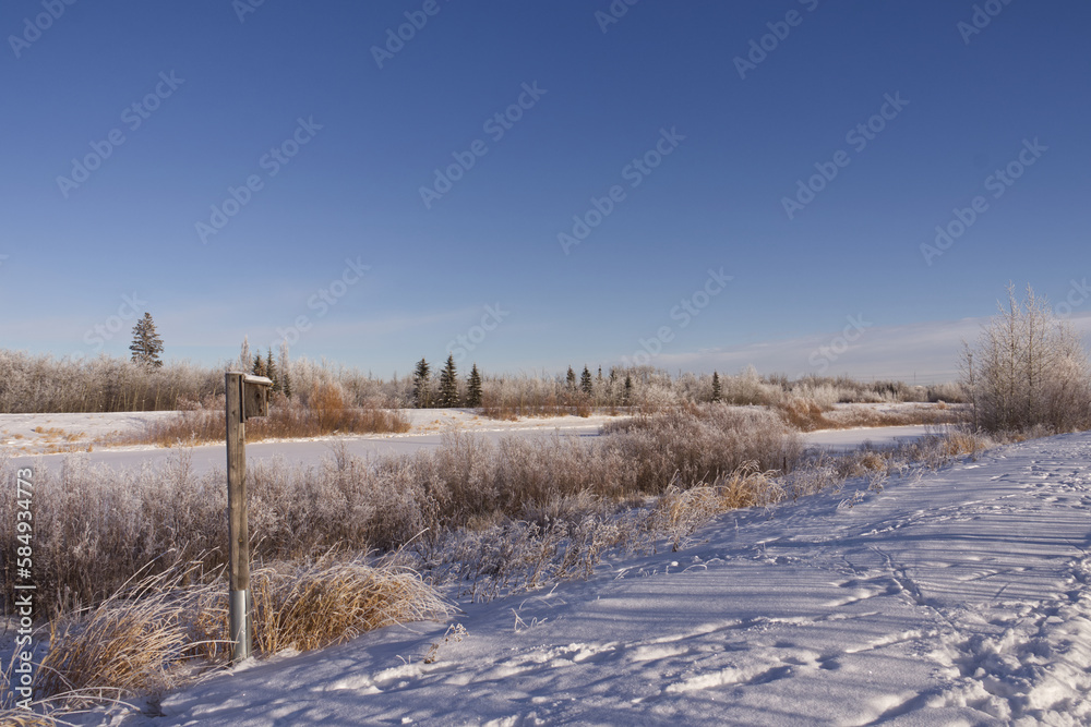 Pylypow Wetlands in the Winter Pylypow Wetlands in the Winter