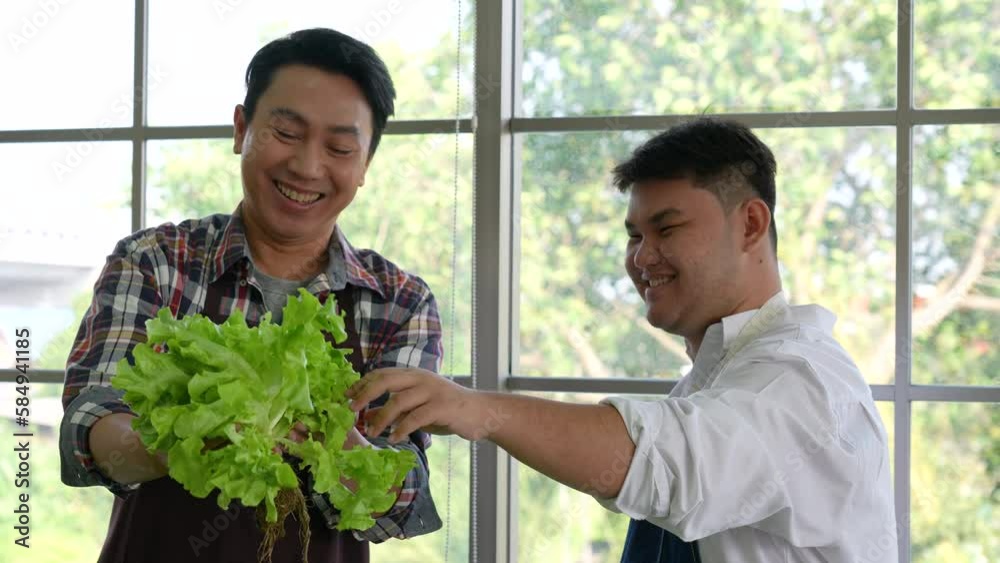 Greengrocer Owner and Worker Selling Green Fresh Lettuce at Local Market Greengrocer Owner and Worker Selling Green Fresh Lettuce at Local Market
