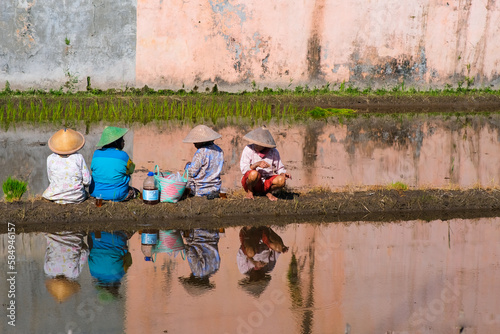 Yogyakarta, Indonesia - 28 June 2022. Four farmer women having breakfast in the middle of rice field before planting paddy. photo