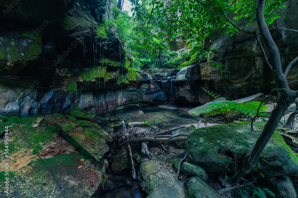 waterfall in the forest