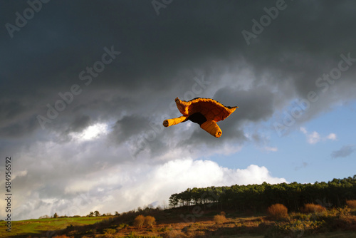 a yellow jacket in the air  photo