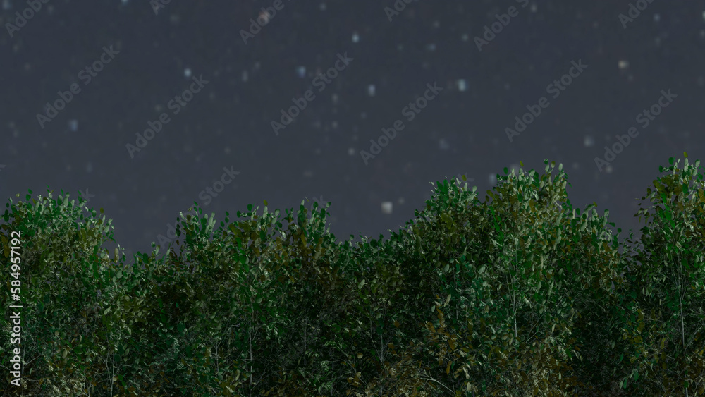 Fototapeta premium Trees and sky swaying in the wind