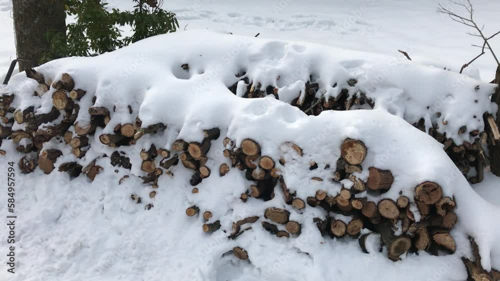 wood pile covered with snow in winter