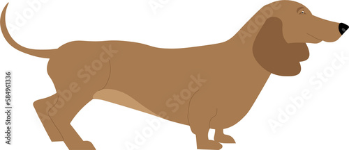 illustration of a dachshund dog