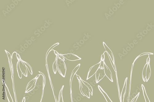 Spring snowdrops background hand drawn horizontal botanical border design green beige color