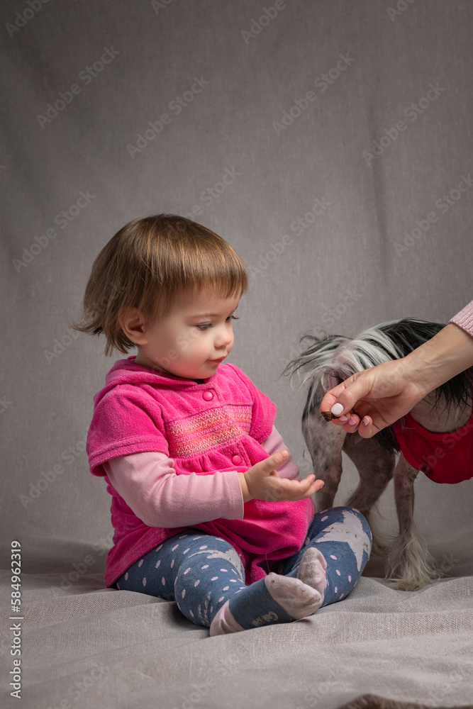 Portrait of a beautiful little girl with a dog in the studio. Portrait of a beautiful little girl with a dog in the studio.