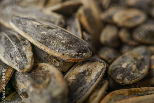 close-up of roasted sunflower seeds with salt selective focusing