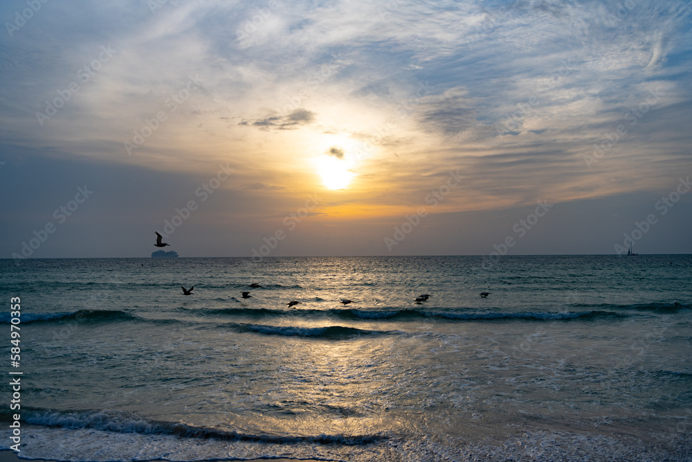 photo of seascape nature at sunset with seagulls. seascape nature at sunset.