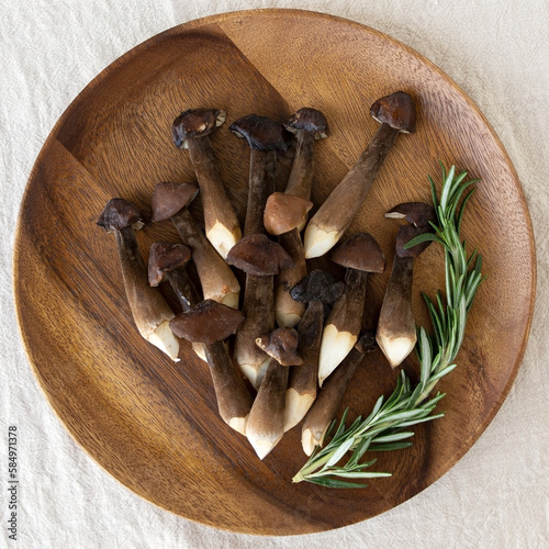 edible mushrooms Black collybia albuminose and rosemary on a wooden plate photo