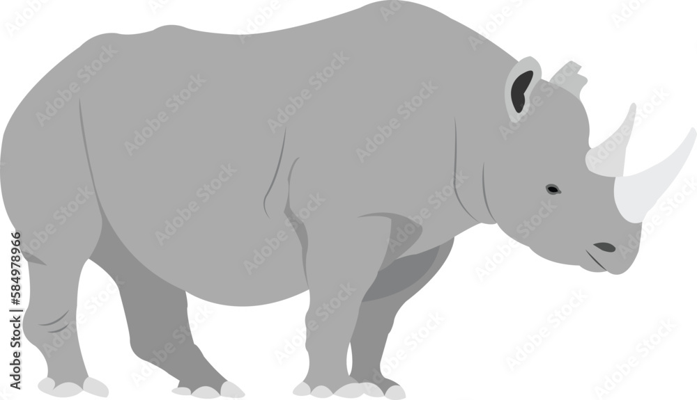 rhino illustration vector image