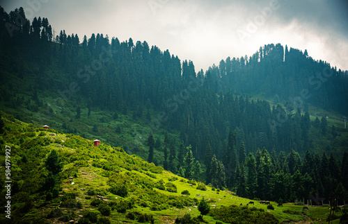 Moring in Malam Jabba 