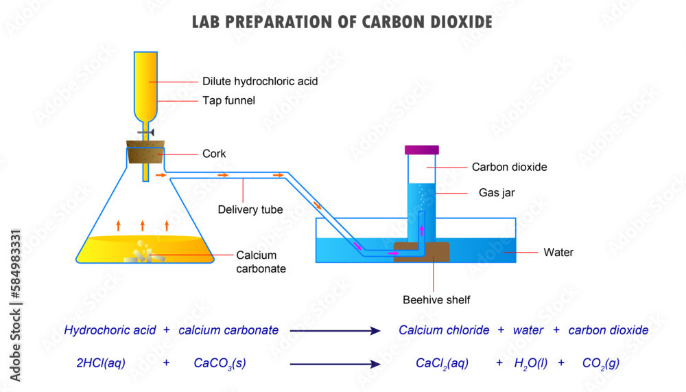 Lab preparation of carbon dioxide, preparation of carbon dioxide vector