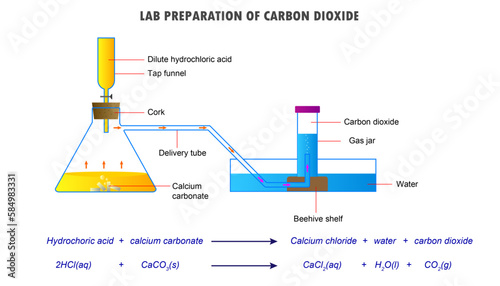 Lab preparation of carbon dioxide,  preparation of carbon dioxide