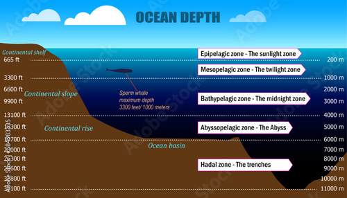 the layers of the ocean, ocean depth photo