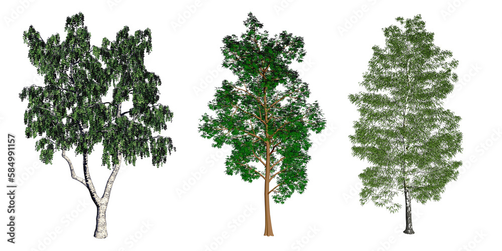 Obraz premium Set of 3d tree rendering, for digital composition, illustration, architecture, visualization