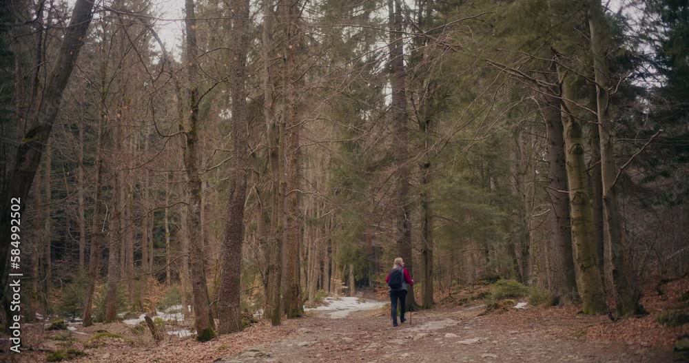 Woman Nordic Walking In Mountains Forest Woman Nordic Walking In Mountains Forest