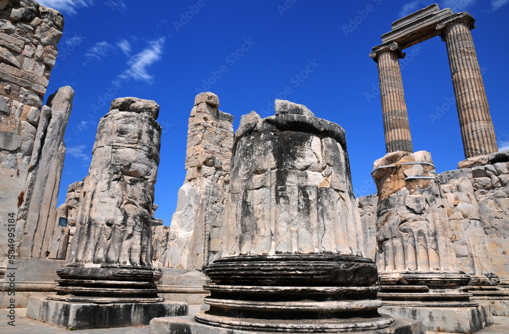 Didim Apollon Temple - Aydin - TURKEY Didim Apollon Temple - Aydin - TURKEY