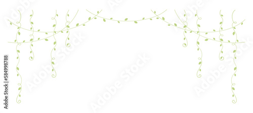 Green hanging vines vector illustration. Simple minimal floral botanical vine curtain design elements for spring.