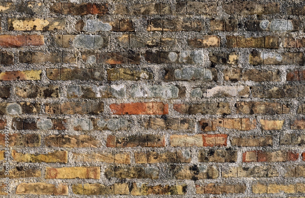 Grunge brick wall stained with mosses, mold and lichens. Close up