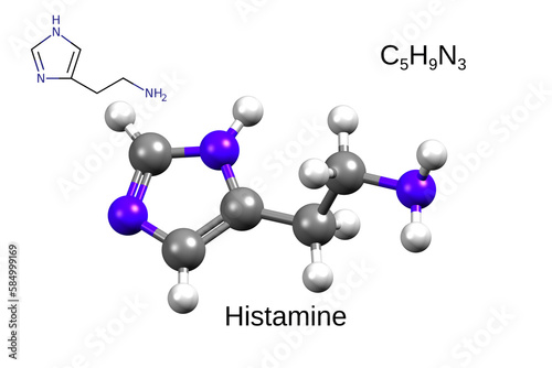 Chemical formula, skeletal formula and 3D ball-and-stick model of histamine photo